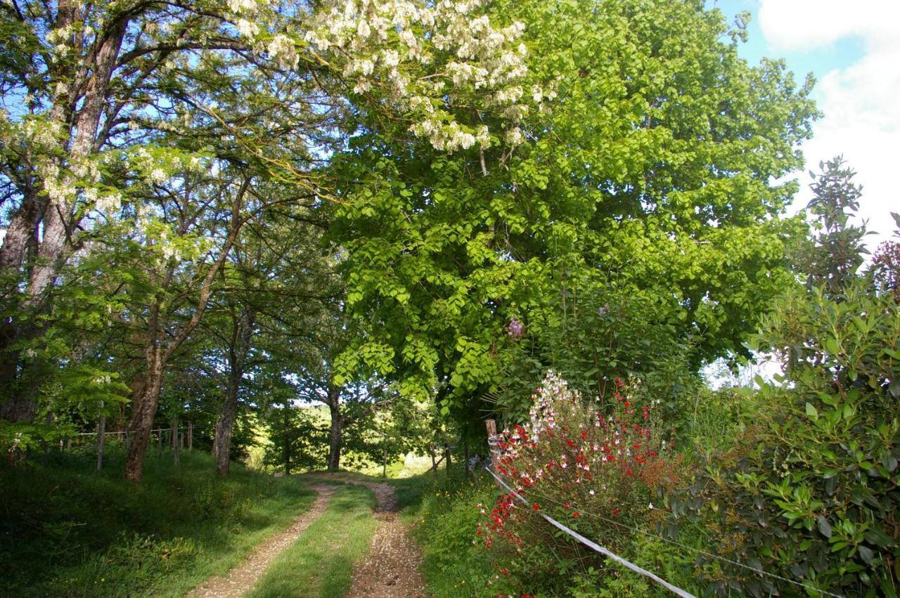 Gite L'Appel De La Foret Betplan Экстерьер фото